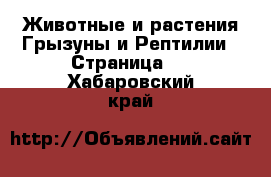 Животные и растения Грызуны и Рептилии - Страница 2 . Хабаровский край